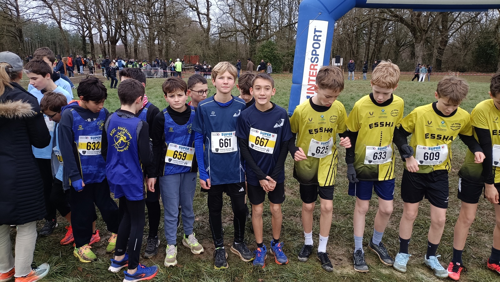 Championnats départementaux de cross 49